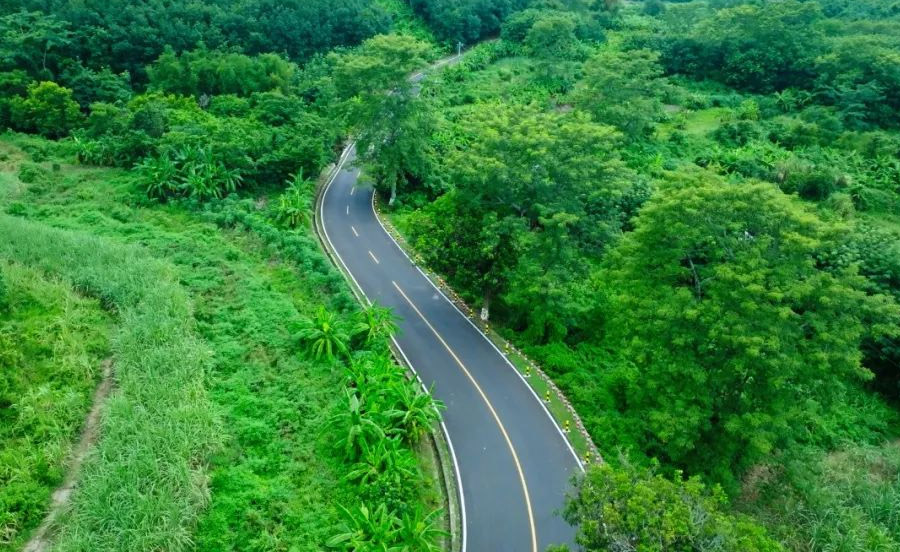 海南再添10条&ldquo;美丽农村路&rdquo;示范路 这些农村路，为何是&ldquo;模范生&rdquo;？