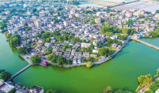 海口文山村：&ldquo;乡村管家&rdquo;管出和美图景